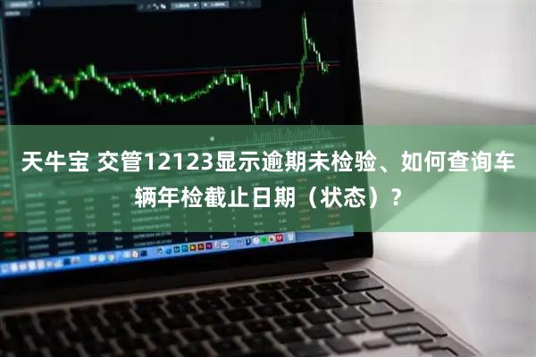天牛宝 交管12123显示逾期未检验、如何查询车辆年检截止日期（状态）？
