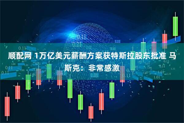 顺配网 1万亿美元薪酬方案获特斯拉股东批准 马斯克：非常感激