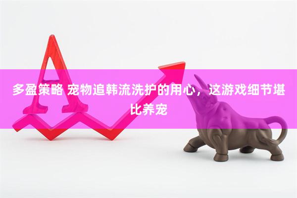 多盈策略 宠物追韩流洗护的用心，这游戏细节堪比养宠