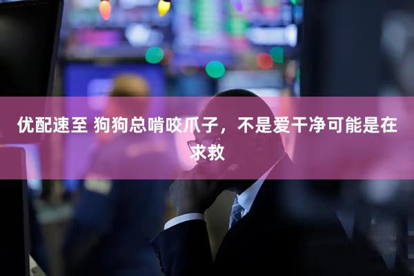 优配速至 狗狗总啃咬爪子，不是爱干净可能是在求救